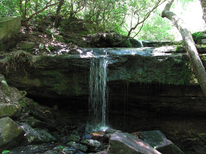 Desoto state clearance park hiking trails