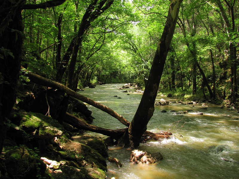 Henry Horton State Park